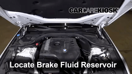 Transmission Fluid Level Check BMW 530i (2017-2019) Base 2.0L 4 Cyl. Turbo
